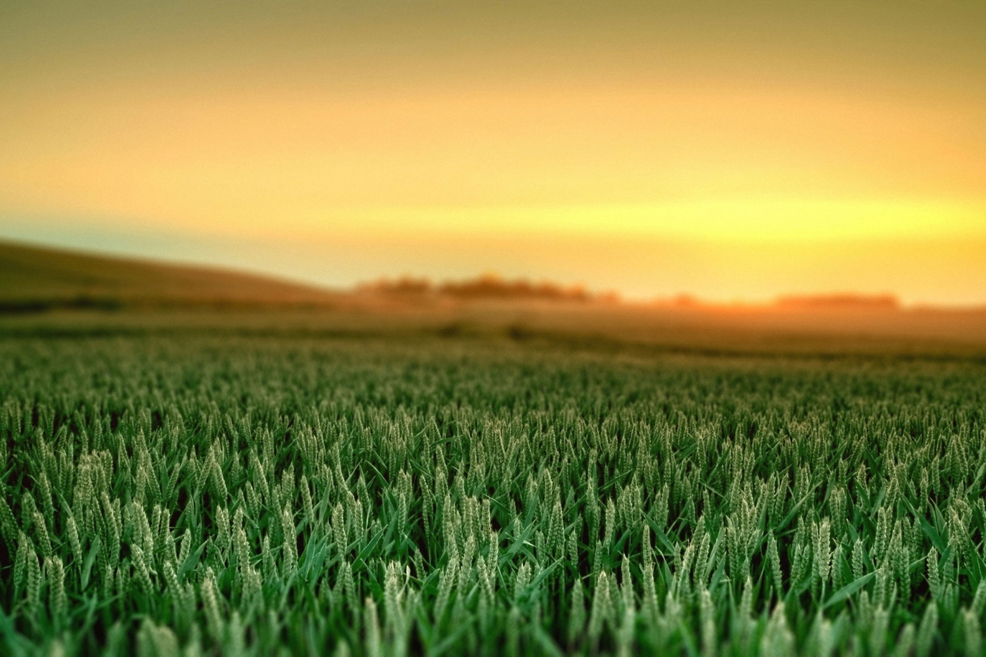 Fertilizantes y Agro